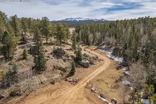 293 Daniwood Grove, Florissant, CO 80816 - Photo 48