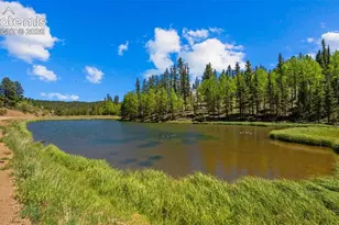 506 Ridge Rd, Divide, CO 80814 - Photo 40