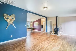 696 Calle De La Nieva, Florissant, CO 80816 - Photo 14