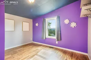 696 Calle De La Nieva, Florissant, CO 80816 - Photo 34