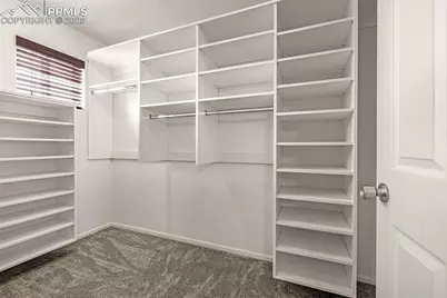 20109 Randolph Place, Denver, CO 80249 - Photo 10