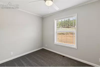 740 Crystal Peak Road, Florissant, CO 80816 - Photo 28
