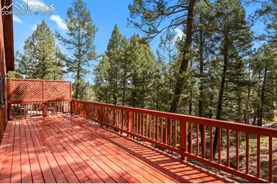 33 Vista Drive, Woodland Park, CO 80863 - Photo 42