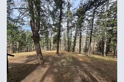 855 Will Stutley Drive, Divide, CO 80814 - Photo 6