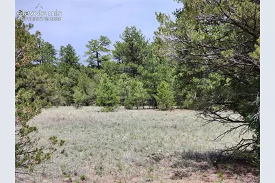 000 7th Trail, Cotopaxi, CO 81223 - Photo 2