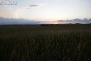 13820 Noah Abel Pt, Calhan, CO 80808 - Photo 40