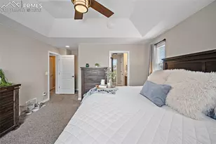 2937 Equine Ct, Colorado Springs, CO 80922 - Photo 24