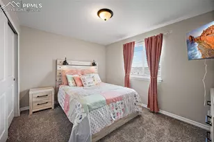 2937 Equine Ct, Colorado Springs, CO 80922 - Photo 34