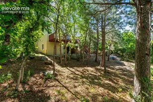 5142 Broadmoor Bluffs Dr, Colorado Springs, CO 80906 - Photo 44