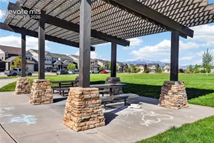 8349 Colorado Spruce Lane, Colorado Springs, CO 80927 - Photo 8