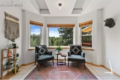 921 Cottonwood Lake Drive, Divide, CO 80814 - Photo 16