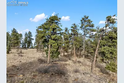 263 Valley Drive, Lake George, CO 80827 - Photo 18