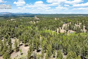 44 Silver Trail, Florissant, CO 80816 - Photo 34