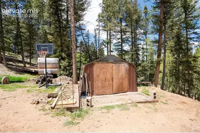 44 Silver Trail, Florissant, CO 80816 - Photo 26