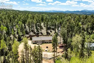44 Silver Trail, Florissant, CO 80816 - Photo 30