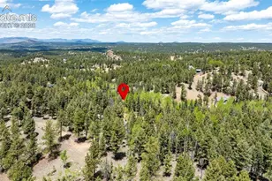 44 Silver Trail, Florissant, CO 80816 - Photo 36