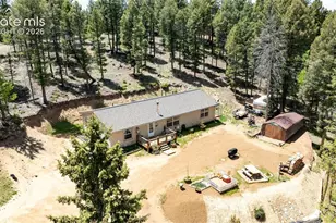 44 Silver Trail, Florissant, CO 80816 - Photo 28