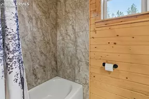 325 Willow Rd, Divide, CO 80814 - Photo 26