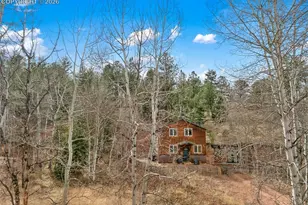 325 Willow Rd, Divide, CO 80814 - Photo 40