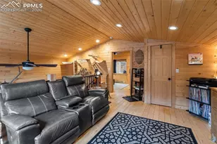 325 Willow Rd, Divide, CO 80814 - Photo 16