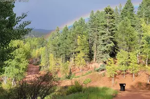 325 Willow Rd, Divide, CO 80814 - Photo 32