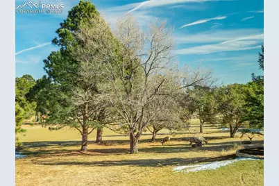3655 Camel Grove, Colorado Springs, CO 80904 - Photo 46
