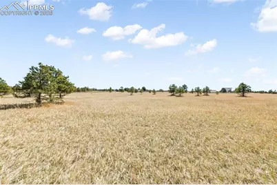 18150 Pinon Park Road, Peyton, CO 80831 - Photo 6