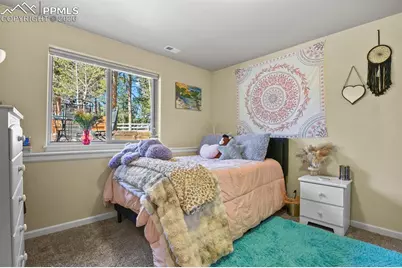 600 Spruce Street, Woodland Park, CO 80863 - Photo 24