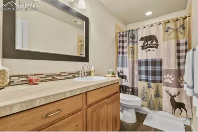 600 Spruce Street, Woodland Park, CO 80863 - Photo 26