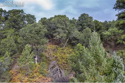 15825 Henry Ride Heights, Colorado Springs, CO 80926 - Photo 22
