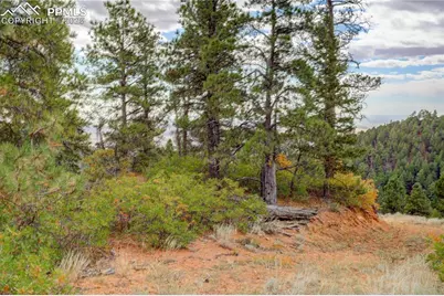 15825 Henry Ride Heights, Colorado Springs, CO 80926 - Photo 6