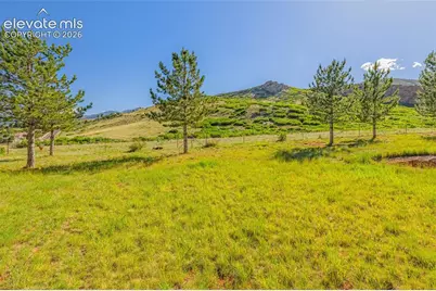 5710 Harbor Pines Point, Colorado Springs, CO 80919 - Photo 4