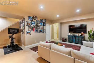 5066 Petrified Forest Trail, Colorado Springs, CO 80924 - Photo 24