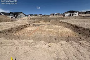 16255 Cattle Crk Ct, Monument, CO 80132 - Photo 2