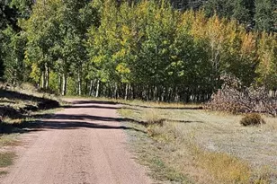 7275 Hwy 9, Guffey, CO 80820 - Photo 6