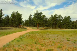 7275 Hwy 9, Guffey, CO 80820 - Photo 24