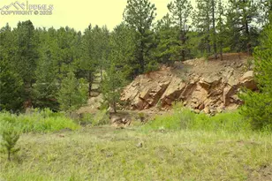 7275 Hwy 9, Guffey, CO 80820 - Photo 28