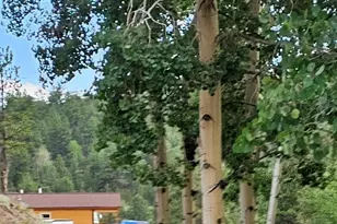 7275 Hwy 9, Guffey, CO 80820 - Photo 2