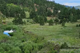 7275 Hwy 9, Guffey, CO 80820 - Photo 20