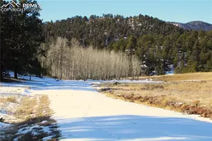 7275 Hwy 9, Guffey, CO 80820 - Photo 8