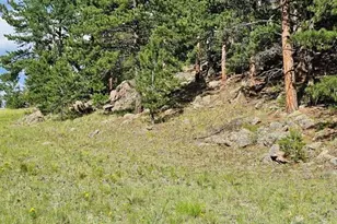 7275 Hwy 9, Guffey, CO 80820 - Photo 4