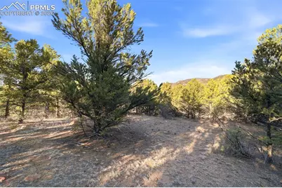 94 Piute Drive, Canon City, CO 81212 - Photo 6