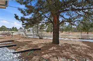 19790 Indi Dr, Monument, CO 80132 - Photo 44