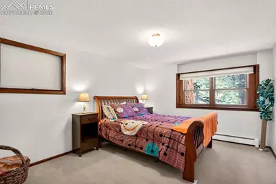 55 Ponderosa Lane, Woodland Park, CO 80863 - Photo 24