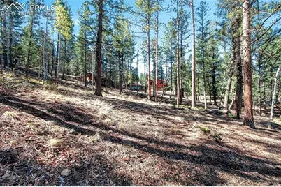 55 Ponderosa Lane, Woodland Park, CO 80863 - Photo 46