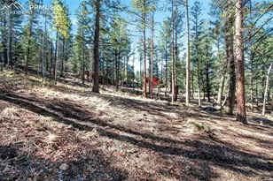 55 Ponderosa Ln, Woodland Park, CO 80863 - Photo 46