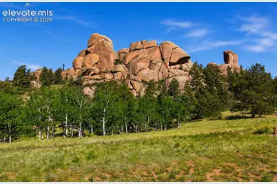 875 Hackamore Drive, Florissant, CO 80816 - Photo 20