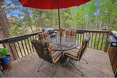 877 N Mountain Estates Road, Florissant, CO 80816 - Photo 6