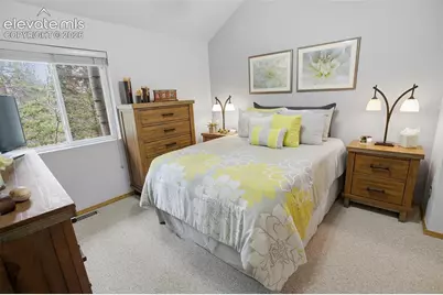 877 N Mountain Estates Road, Florissant, CO 80816 - Photo 16