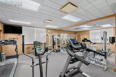 7647 Black Bear Point, Colorado Springs, CO 80922 - Photo 28